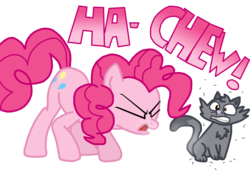 Size: 4000x2780 | Tagged: safe, artist:masterxtreme, pinkie pie, cat, g4, achoo, allergies, cute, diapinkes, female, fetish, humor, sneezing, sneezing fetish, solo, spray