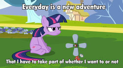 Size: 960x538 | Tagged: safe, twilight sparkle, pony, unicorn, g4, female, frown, grumpy twilight, image macro, sitting, solo