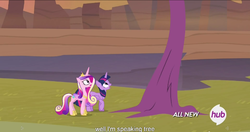 Size: 1152x610 | Tagged: safe, screencap, princess cadance, twilight sparkle, alicorn, pony, g4, three's a crowd, duo, female, mare, meme, sisters-in-law, thinking tree, twilight sparkle (alicorn), youtube caption