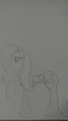 Size: 918x1632 | Tagged: safe, artist:bluesapphire97, fluttershy, g4, female, sketch, solo, traditional art