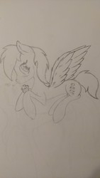 Size: 918x1632 | Tagged: safe, artist:bluesapphire97, derpy hooves, pegasus, pony, g4, female, mare, monochrome, sketch, solo, traditional art