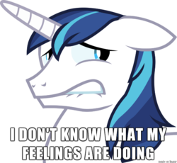 Size: 610x562 | Tagged: safe, shining armor, g4, image macro, male, reaction image, solo