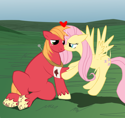 Size: 1340x1272 | Tagged: safe, artist:sotoco, big macintosh, fluttershy, earth pony, pony, g4, bandage, blood, cropped, kissing, male, nose kiss, ship:fluttermac, shipping, stallion, straight