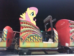 Size: 2592x1944 | Tagged: safe, artist:redpandapony, artist:tokkazutara1164, fluttershy, g4, irl, photo, ponies in real life, roller coaster, solo, vector