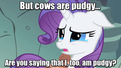 Size: 640x360 | Tagged: safe, edit, edited screencap, screencap, rarity, cow, pony, unicorn, a dog and pony show, g4, caption, crying, female, floppy ears, image macro, mare, meta, quote, raricow, solo, teary eyes, text