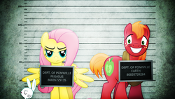 Size: 1280x720 | Tagged: safe, artist:abydos91, artist:aftermathmusic, artist:chainchomp2 edits, angel bunny, big macintosh, fluttershy, earth pony, pony, g4, annoyed, bonnie and clyde, grin, male, mugshot, scared, ship:fluttermac, shipping, smiling, spread wings, stallion, straight, wide eyes