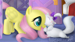 Size: 1024x576 | Tagged: safe, artist:giovanna-71, fluttershy, opalescence, g4, my little pony: friendship is magic, stare master, cute, nuzzling, opalbetes, scene interpretation, signature