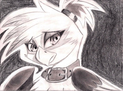 Size: 2270x1680 | Tagged: safe, artist:tallyburd, oc, oc only, griffon, monochrome, sketch, solo, traditional art, ura pierce