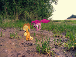 Size: 3264x2448 | Tagged: safe, artist:colorfulbrony, artist:dipi11, artist:thatguy1945, applejack, derpy hooves, pinkie pie, pegasus, pony, g4, female, field, high res, irl, jumping, mare, mud, outdoors, photo, ponies in real life, puddle, reflection, tree, vector