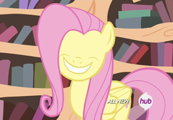 Size: 1036x720 | Tagged: safe, fluttershy, g4, my little pony: friendship is magic, three's a crowd, female, hub logo, no eyes, smiling, solo, something