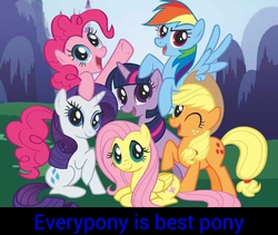 Size: 813x687 | Tagged: safe, applejack, fluttershy, pinkie pie, rainbow dash, rarity, twilight sparkle, g4, image macro, mane six