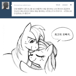 Size: 658x664 | Tagged: safe, applejack, big macintosh, earth pony, pony, g4, applejack-kor, ask, korean, male, stallion, tumblr