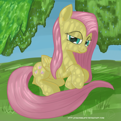 Size: 1400x1400 | Tagged: safe, artist:chaosmalefic, fluttershy, g4, female, solo