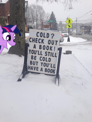 Size: 720x960 | Tagged: safe, twilight sparkle, g4, book, bookhorse, insane troll logic, irl, logic, photo, ponies in real life, sign, twilight fuel