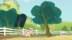 Size: 640x355 | Tagged: safe, screencap, fluttershy, bats!, g4, female, meme, mlp-captions, solo, youtube caption