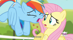 Size: 640x355 | Tagged: safe, screencap, fluttershy, rainbow dash, bats!, g4, my little pony: friendship is magic, meme, mlp-captions, youtube caption