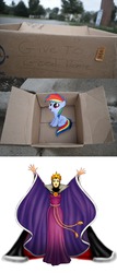 Size: 1323x3103 | Tagged: safe, rainbow dash, pegasus, pony, fanfic:my little dashie, g4, dashie meme, disney, evil people finding dash meme, exploitable meme, grimhilde, meme, snow white