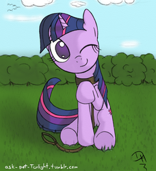 Size: 768x842 | Tagged: safe, artist:dennyhooves, twilight sparkle, pony, unicorn, g4, collar, female, leash, pet, pettwi, solo, unicorn twilight