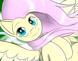 Size: 2900x2300 | Tagged: safe, artist:nightsound76, fluttershy, g4, female, solo