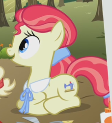 Size: 314x345 | Tagged: safe, screencap, sew 'n sow, earth pony, pony, apple family reunion, g4, apple family member, background pony, cropped, female, mare, prone, solo focus