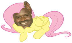 Size: 1600x952 | Tagged: safe, fluttershy, g4, fluttershaq, shaquille o'neal, shoop, wat