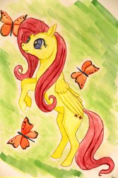 Size: 800x1200 | Tagged: safe, artist:thatdenver, fluttershy, butterfly, g4, female, solo, traditional art