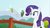 Size: 1366x768 | Tagged: safe, screencap, rarity, parasprite, pony, unicorn, g4, my little pony: friendship is magic, swarm of the century, fence