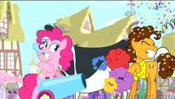 Size: 1920x1080 | Tagged: safe, cheese sandwich, pinkie pie, cow, pony, g4, pinkie pride, partillery, party cannon, udder