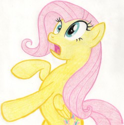 Size: 2126x2136 | Tagged: safe, artist:muffin mane, fluttershy, dragonshy, g4, female, solo, traditional art