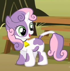 Size: 409x415 | Tagged: safe, sweetie belle, cow, cow pony, g4, cowbelle, cowified, cute, diasweetes, female, milka, solo, species swap