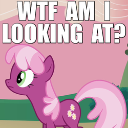 Size: 640x640 | Tagged: safe, edit, edited screencap, screencap, cheerilee, g4, hearts and hooves day (episode), caption, cropped, female, hearts and hooves day, image macro, reaction image, solo, wtf