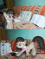 Size: 720x936 | Tagged: safe, artist:nitroraven24, artist:quanno3, artist:vaderpl, octavia melody, g4, book, calculator, comic, couch, frown, gritted teeth, irl, math, paper, pen, photo, ponies in real life, scared, solo