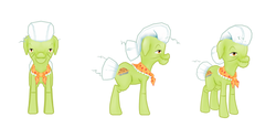 Size: 1000x500 | Tagged: safe, gameloft, granny smith, earth pony, pony, g4, bandana, female, front view, mare, side view, simple background, solo