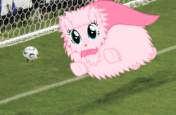 Size: 800x521 | Tagged: safe, oc, oc only, oc:fluffle puff, football, solo, super fluff