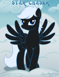 Size: 569x744 | Tagged: safe, artist:brianblackberry, oc, oc only, oc:star chaser, pegasus, pony, solo
