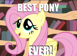 Size: 740x538 | Tagged: safe, fluttershy, g4, best pony, cute, female, image macro, open mouth, smiling, solo