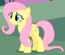 Size: 550x466 | Tagged: safe, screencap, fluttershy, pegasus, pony, g4, stare master, cropped, female, folded wings, mare, solo, wings
