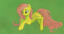 Size: 4570x2440 | Tagged: safe, artist:darkflame75, fluttershy, g4, drawing, female, solo