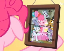 Size: 418x331 | Tagged: safe, edit, edited screencap, screencap, cloudy quartz, igneous rock pie, limestone pie, marble pie, maud pie, pinkie pie, g4, pinkie pride, pie family, pie sisters, text