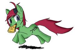 Size: 630x454 | Tagged: safe, oc, oc only, oc:newsie, pony, /mlp/, 4chan, horse news, solo