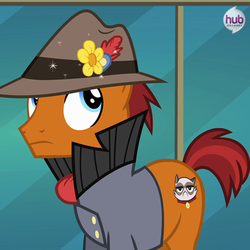 Size: 550x549 | Tagged: safe, screencap, sourpuss, cat, earth pony, pony, g4, official, rarity takes manehattan, clothes, cropped, cutie mark, flower, flower in hat, frown, grumpy cat, hat, hub logo, hubble, jacket, looking up, male, reference, scarf, solo, sparkles, stallion, the hub, wide eyes