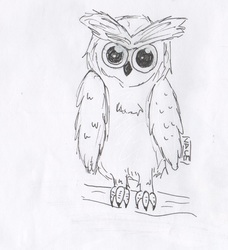 Size: 1365x1498 | Tagged: safe, artist:valebrony, owlowiscious, bird, owl, g4, male, monochrome, solo, traditional art