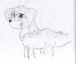 Size: 2417x2053 | Tagged: safe, artist:valebrony, winona, dog, g4, collar, female, monochrome, palindrome get, solo, tongue out, traditional art