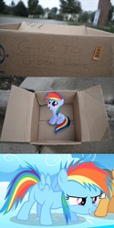 Size: 694x1384 | Tagged: safe, rainbow dash, pegasus, pony, fanfic:my little dashie, g4, dashie meme, enlightened, exploitable meme, filly, foal, good people finding dash meme, meme, self ponidox