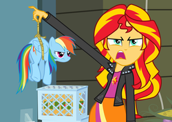 Size: 1016x720 | Tagged: safe, rainbow dash, sunset shimmer, equestria girls, g4, exploitable meme, meme, micro, sunset is disgusted