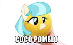 Size: 386x238 | Tagged: safe, coco pommel, g4, rarity takes manehattan, coco pomelo, fruit, image macro, meme, pomelo, pun