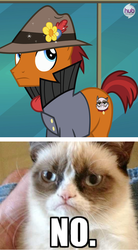 Size: 550x1000 | Tagged: safe, edit, edited screencap, screencap, sourpuss, cat, g4, rarity takes manehattan, caption, grumpy cat, hub logo, image macro, meme, text