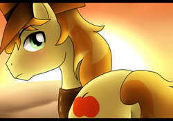 Size: 1000x700 | Tagged: safe, artist:daflummify, braeburn, earth pony, pony, g4, butt, male, plot, rear view, solo, stallion, sunset