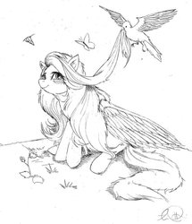 Size: 600x697 | Tagged: safe, artist:derp-my-life, fluttershy, bird, butterfly, g4, blushing, female, grooming, monochrome, sitting, sketch, smiling, solo, spread wings