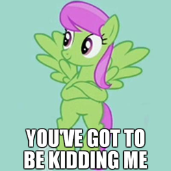 Size: 400x400 | Tagged: safe, merry may, g4, crossed hooves, female, image macro, meme, not so merry may, solo